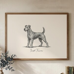 Irish Terrier Print | Vintage Dog Wall Art | Irish Terrier Gift | Irish Terrier Art | Dog Lover Gift | Terrier Mom Gift | Digital Download