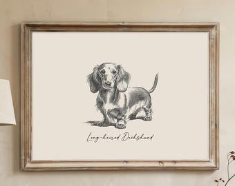 Long Haired Dachshund Print | Dachshund Gift | Sausage Dog Wall Art | Wiener Dog Print | Dog Wall Art | Dog Lover Gift | Digital Download