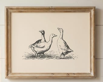 Duck Print | Farmhouse Wall Art | Duck Wall Art | Country Kitchen Decor | Cottagecore Decor | Farm Animal Print | Digital Download