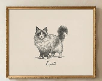 Lámina de gato Ragdoll / Arte mural vintage de gatos / Regalo para dueños de gatos Ragdoll / Descarga digital