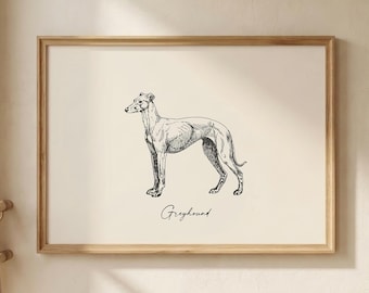 Greyhound Wall Art | Vintage Dog Breed Print | Greyhound Lover Gift | Digital Download