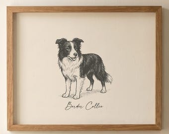 Border Collie Print | Dog Breed Wall Art | Dog Lover Gift | Border Collie Gift | Collie Wall Art | Vintage Dog Art | Digital Download