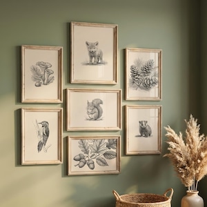 Może przedstawiać: Kolekcja ośmiu oprawionych czarno-białych ilustracji przyrodniczych, w tym lisa, wiewiórki i żołędzi, umieszczonych na zielonej ścianie. Pleciony kosz i wazon z suszonymi roślinami znajdują się na pierwszym planie, tworząc rustykalny, leśny motyw.