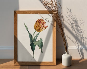 Vintage Tulip Botanical Print: Spring Flower Wall Art (Digital Download)