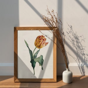 Vintage Tulip Botanical Print: Spring Flower Wall Art (Digital Download)