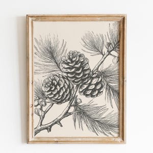 Pine Cone Wall Art | Botanical Print | Woodland Wall Art | Farmhouse Decor | Pine Cone Art Print | Nature Wall Art | Digital Download image 2