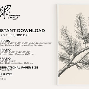May include: A digital art print featuring a black ink line drawing of a pine branch with two pinecones on a cream background. The text includes Wonder Walls Prints, Instant Download, 5 JPG files, 300 DPI, and various aspect ratios like 2:3, 3:4, 4:5, 11:14, and international paper sizes.