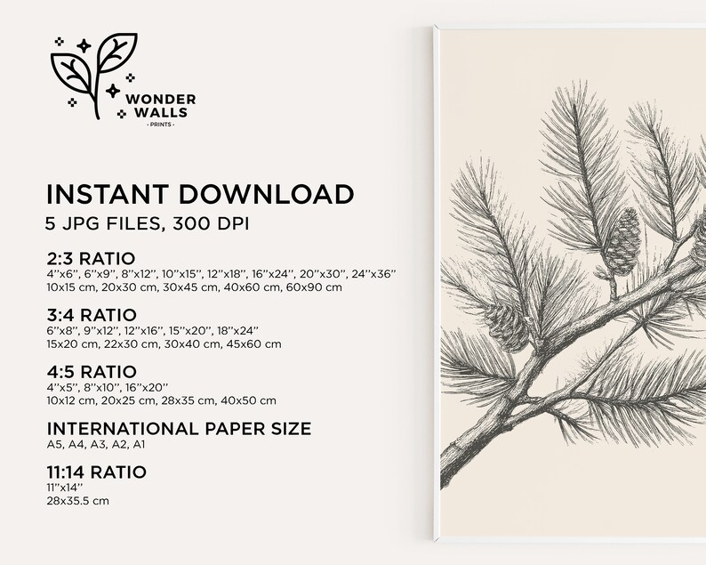 May include: A digital art print featuring a black ink line drawing of a pine branch with two pinecones on a cream background. The text includes Wonder Walls Prints, Instant Download, 5 JPG files, 300 DPI, and various aspect ratios like 2:3, 3:4, 4:5, 11:14, and international paper sizes.
