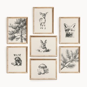 May include: A set of seven framed black and white illustrations of woodland animals and plants. The illustrations include a deer, a fox, a rabbit, a raccoon, a mushroom, and two pine branches.