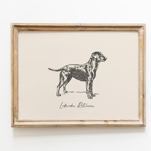 Dog Vintage Print Labrador Retriever Print Dog Drawing Farmhouse Print Countryside Wall Art image 1