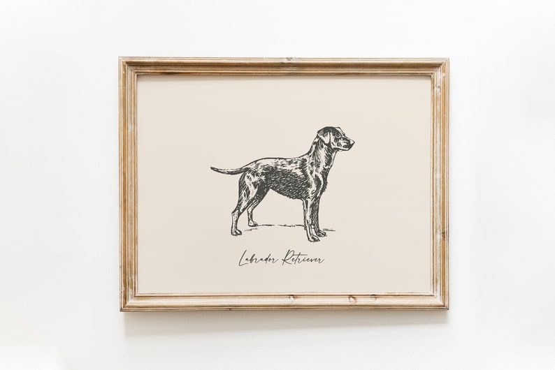 Dog Vintage Print Labrador Retriever Print Dog Drawing Farmhouse Print Countryside Wall Art image 1