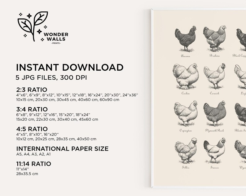 May include: A framed print featuring detailed black and white illustrations of various chicken breeds. The print includes text indicating it is an instant download with multiple file sizes available, including 11"x14" (28x35.5 cm). The artwork is on a cream-colored background.