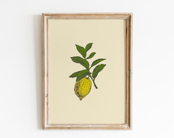 Vintage lemon print | Kitchen wall art | Vintage kitchen print | Farmhouse kitchen wall decor