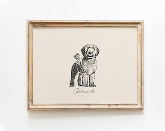 Vintage goldendoodle-afdruk: boerderijhondtekening (digitale download)