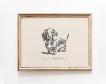 Dog Vintage Print | Long-haired Dachshund Print | Dog Drawing | Farmhouse Print | Countryside Wall Art