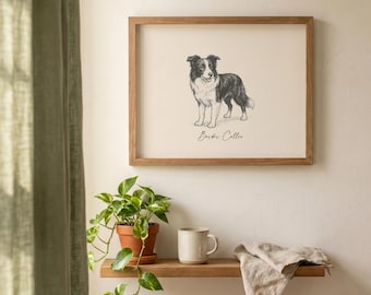Border Collie Print | Dog Breed Wall Art | Dog Lover Gift | Border Collie Gift | Collie Wall Art | Vintage Dog Art | Digital Download