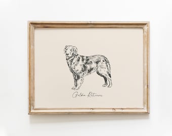 Dog Vintage Print | Golden Retriever Print | Dog Drawing | Farmhouse Print | Countryside Wall Art