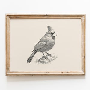 Puede incluir: Una l&aacute;mina de arte enmarcada que presenta un dibujo lineal detallado en blanco y negro de un p&aacute;jaro cardenal posado en una rama. La obra est&aacute; sobre un fondo beige claro s&oacute;lido y encerrada en un marco de madera de tono claro.