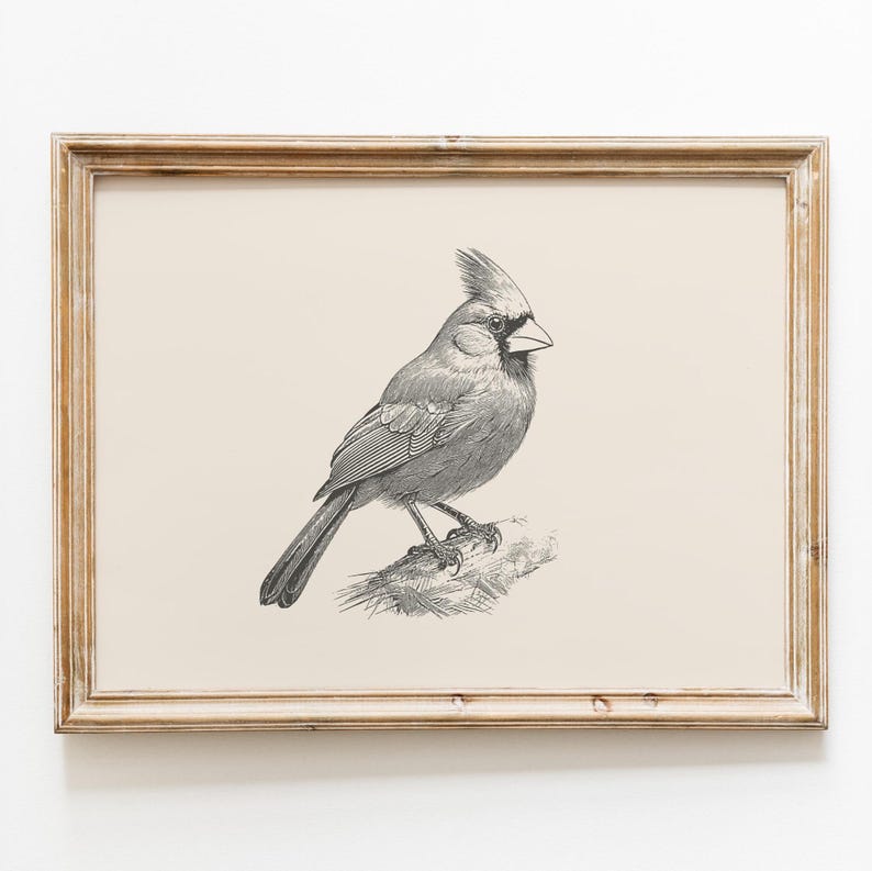 Puede incluir: Una l&aacute;mina de arte enmarcada que presenta un dibujo lineal detallado en blanco y negro de un p&aacute;jaro cardenal posado en una rama. La obra est&aacute; sobre un fondo beige claro s&oacute;lido y encerrada en un marco de madera de tono claro.