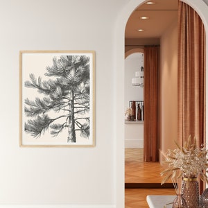 May include: A black and white line drawing of a pine tree in a light beige frame against a white wall. The frame is hanging on a white wall with a white baseboard. The wall is next to an arched doorway with a brown wall and a brown curtain.