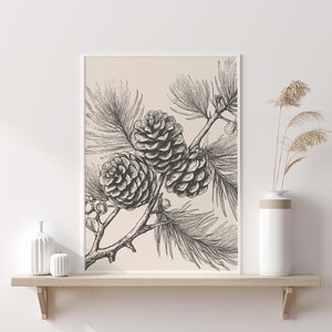 May include: Monochrome botanical print featuring detailed illustrations of pine cones and needles. The artwork is framed in white and displayed on a light-coloured shelf. A white vase with dried plants is on the shelf.