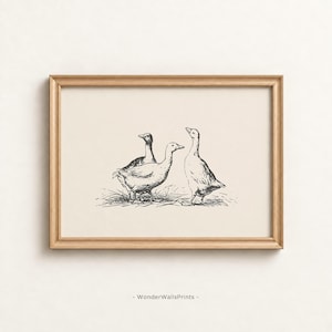 May include: A framed wall art print featuring a black ink line drawing of three geese standing on grass against a cream background. The frame is made of light-colored wood. The text WonderWallsPrints is printed at the bottom center.