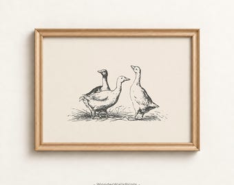May include: A framed wall art print featuring a black ink line drawing of three geese standing on grass against a cream background. The frame is made of light-colored wood. The text WonderWallsPrints is printed at the bottom center.