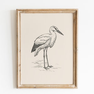 Stork vintage print | Bird wall art | Farmhouse decor | Bird lover gift