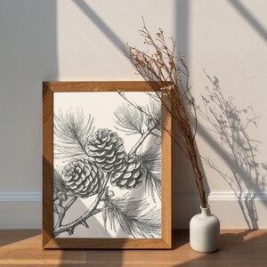 May include: A framed black and white botanical print showing detailed illustrations of pine cones and needles. The artwork is in a natural wood frame, leaning against a wall. A small white vase with dried branches is next to the frame.