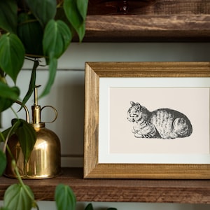 Vintage Cat Print / Cat Print Wall Art / Boho Cat Wall Art / Cat Printable Poster / Animal Boho Print / Catlover Gift / Antique Cat Print image 5