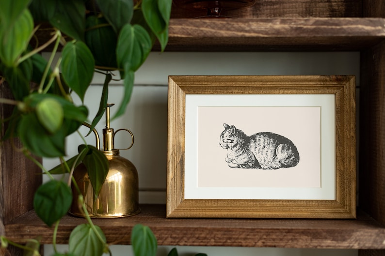 Vintage Cat Print / Cat Print Wall Art / Boho Cat Wall Art / Cat Printable Poster / Animal Boho Print / Catlover Gift / Antique Cat Print image 5