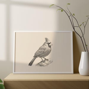 Puede incluir: Una impresi&oacute;n horizontal enmarcada que presenta un dibujo detallado de l&iacute;neas en blanco y negro de un p&aacute;jaro cardenal posado en una rama. La obra est&aacute; sobre un fondo beige claro s&oacute;lido, dentro de un marco rectangular blanco simple y fino.