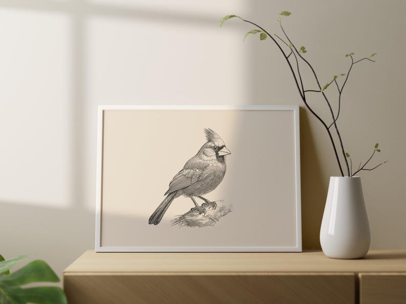 Puede incluir: Una impresi&oacute;n horizontal enmarcada que presenta un dibujo detallado de l&iacute;neas en blanco y negro de un p&aacute;jaro cardenal posado en una rama. La obra est&aacute; sobre un fondo beige claro s&oacute;lido, dentro de un marco rectangular blanco simple y fino.
