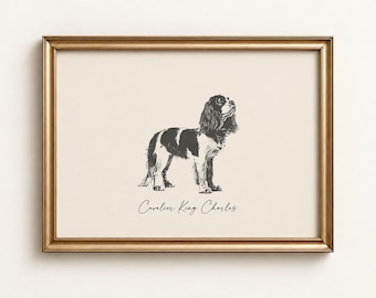 Può includere: Una stampa artistica da parete incorniciata con un'illustrazione in bianco e nero di un cane Cavalier King Charles su sfondo color crema. Il testo Cavalier King Charles è stampato in corsivo sotto l'illustrazione del cane.