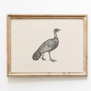 Turkey Vintage Print | Thanksgiving Wall Art | Autumn Wall Decor | Farmhouse Print