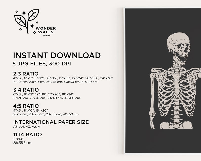 May include: A digital print featuring a light-colored human skeleton illustration against a dark gray background. The text includes WONDER WALLS PRINTS, INSTANT DOWNLOAD, 5 JPG FILES, 300 DPI, and various aspect ratios with dimensions in inches.