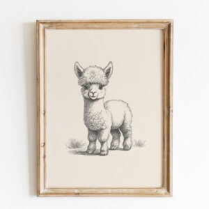 May include: A framed wall art print featuring a black and white pencil sketch of a baby alpaca standing on a small patch of grass. The illustration is centered on a light beige background and enclosed in a simple, light-toned wooden frame.