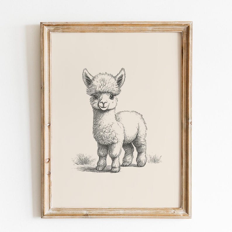 May include: A framed wall art print featuring a black and white pencil sketch of a baby alpaca standing on a small patch of grass. The illustration is centered on a light beige background and enclosed in a simple, light-toned wooden frame.