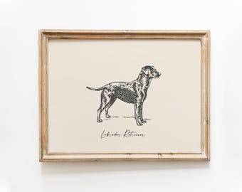 Dog Vintage Print | Labrador Retriever Print | Dog Drawing | Farmhouse Print | Countryside Wall Art