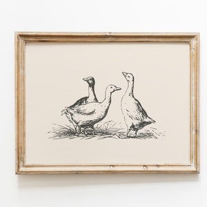 Impressão vintage de pato / Arte de parede de pato / Desenho de pato / Pintura vintage antiga / Impressão de casa de fazenda / Decoração de parede de casa de fazenda / Arte de parede country