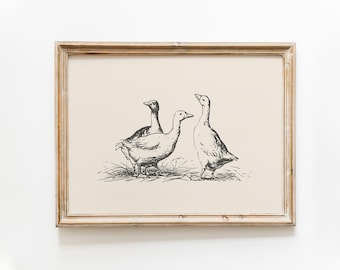 Duck Vintage Print / Duck Wall Art / Duck Drawing / Antique Vintage Painting / Farmhouse Print / Farmhouse Wall Decor / Country Wall Art