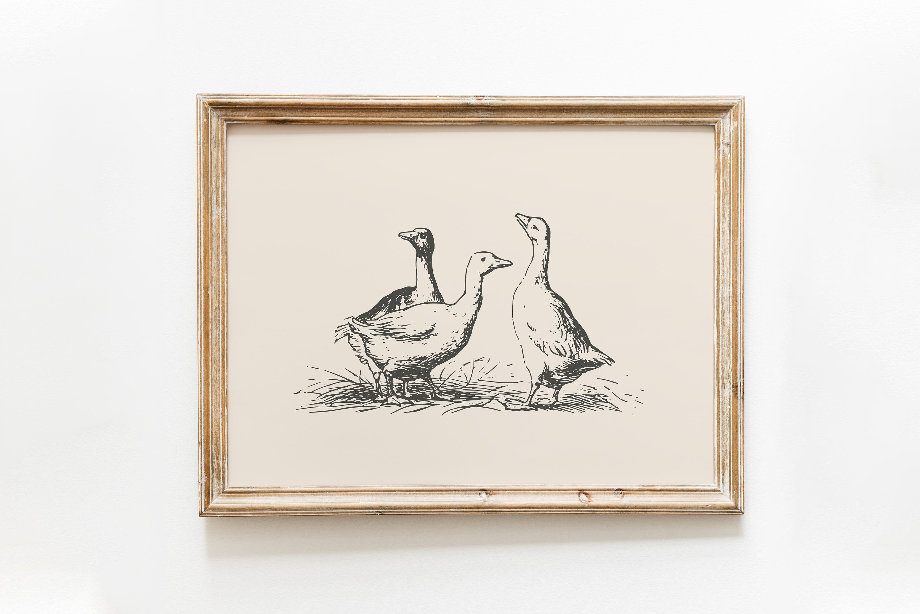 Duck Vintage Print / Duck Wall Art / Duck Drawing / Antique Vintage Painting / Farmhouse Print / Farmhouse Wall Decor / Country Wall Art