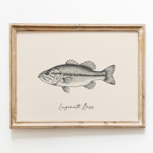 Op de afbeelding: Een ingelijste prent met een zwart-wit illustratie van een largemouth bass. De vis is in profiel afgebeeld, met zijn vinnen, schubben en kenmerkende bek. De tekst "Largemouth Bass" staat in cursiefschrift eronder. De lijst is lichtbruin.