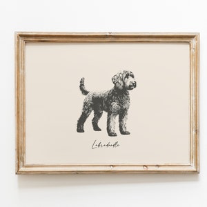 Dog Vintage Print | Labradoodle Print | Dog Drawing | Farmhouse Print | Countryside Wall Art