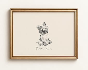 Peut inclure: Une impression d'art encadrée présentant un croquis à l'encre noire d'un Yorkshire Terrier centré sur un fond crème. Sous l'illustration, le texte Yorkshire Terrier est écrit en écriture cursive. Le cadre est en or métallique.