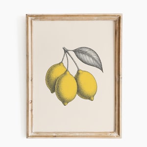 Lemon Wall Art – Vintage Fruit Print | Yellow Lemon Poster | Kitchen Decor | Botanical Illustration