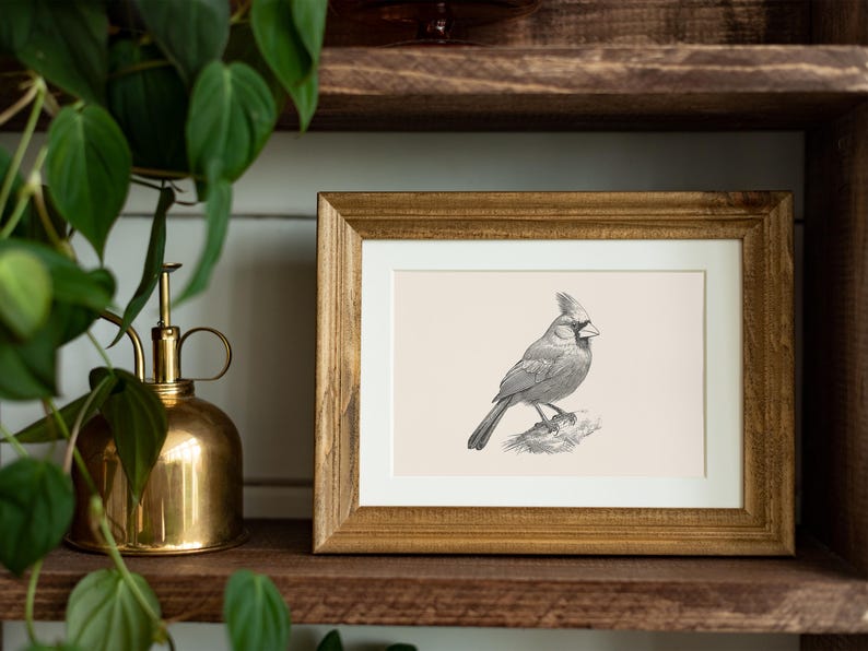Puede incluir: Un marco de madera rectangular con un paspart&uacute; de color claro que contiene una ilustraci&oacute;n en tinta negra y blanca de un p&aacute;jaro cardenal posado en una rama. El ave se muestra de perfil, destacando su cresta, pico y plumas detalladas.
