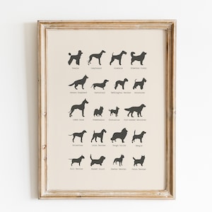 Impresión de perros vintage / Impresión de razas de perros / Impresión de perros educativos / Póster de razas de perros