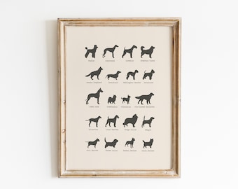 Impresión de perros vintage / Impresión de razas de perros / Impresión de perros educativos / Póster de razas de perros