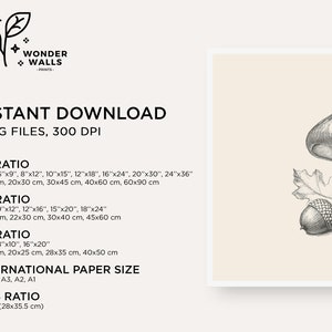 Pode incluir: Uma impress&atilde;o de arte digital com um esbo&ccedil;o a l&aacute;pis em preto e branco de um cogumelo, uma bolota e uma folha num fundo creme. O texto inclui Wonder Walls Prints, Instant Download, 5 ficheiros JPG, 300 DPI e v&aacute;rios r&aacute;cios como 2:3, 3:4, 4:5, 11x14 e tamanhos de papel internacionais.